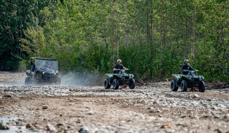 Denali National Park: Wilderness ATV Adventure - Final Thoughts