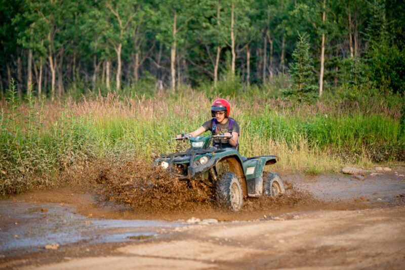 Denali National Park: Wilderness ATV Adventure - FAQ