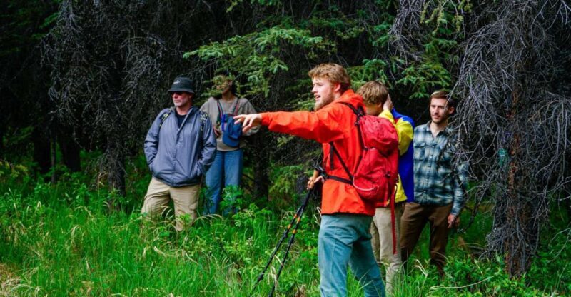 Denali: Naturalist Walking Tour in Denali National Park - Why You’ll Love the Denali Naturalist Walking Tour