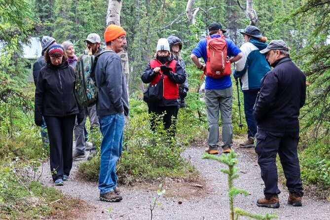 Denali Nature Hike - Setting the Scene: What the Tour Promises