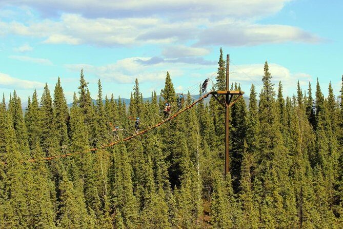 Denali Park Zipline Adventure - Guides and Atmosphere