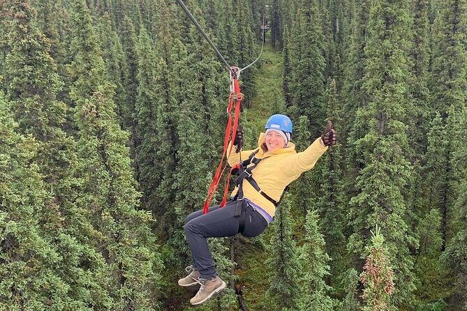Denali Park Zipline Adventure - Practical Details: What You Need to Know