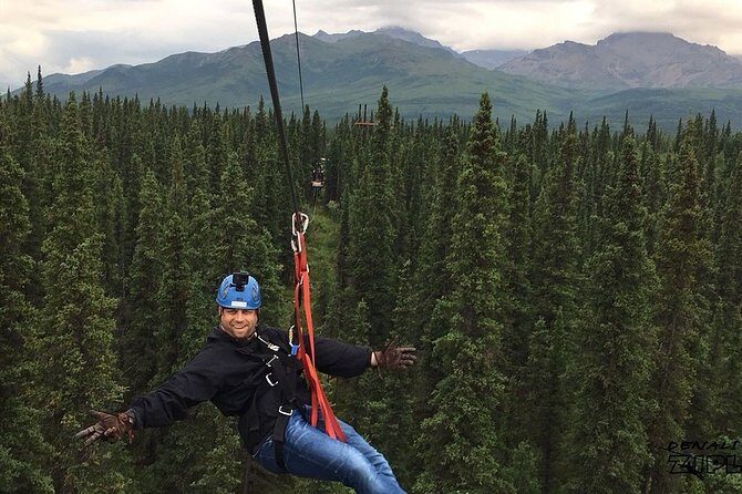 Denali Park Zipline Adventure - Why This Tour Works Well for Many Travelers