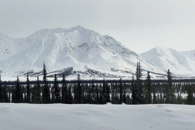Denali Summer Winter Trial Shuttle with Professional Camera - Professional Photography: A Real Bonus