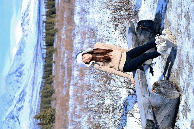 Denali Summer Winter Trial Shuttle with Professional Camera - The Value of the Experience