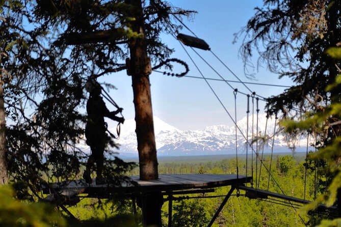 Denali Zipline Tour in Talkeetna, AK - An Honest Breakdown of the Experience