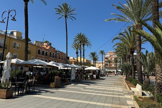 Denia and Mediterranean Gardens Day Trip - Key Points