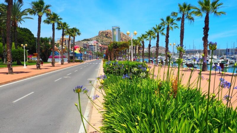 Denia - Old Town Private Walking Tour - Who Should Consider This Tour?