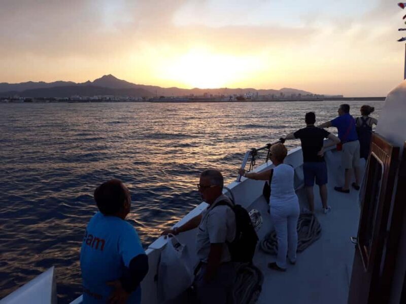 Dénia: Sunset Cruise on a Motor Boat - Key Points