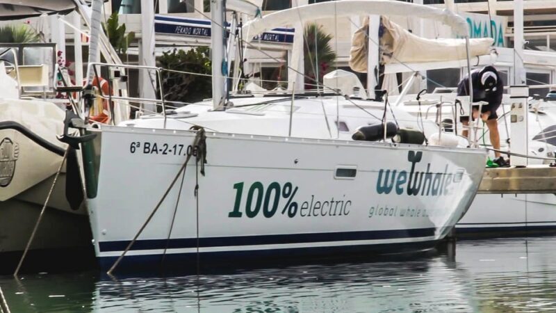 Denia: Sunset Electric Sailboat Cruise with Dolphin Spotting - A Closer Look at the Sunset Electric Sailboat Cruise