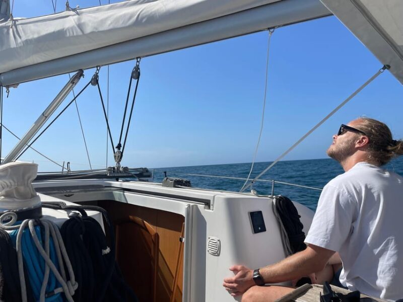 Denia: Whale and Dolphin Watching Morning Experience - Discovering the Whale and Dolphin Watching Experience in Denia