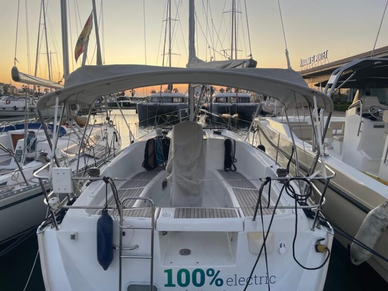 Denia: Whale and Dolphin Watching Morning Experience - What to Expect from the Denia Whale and Dolphin Watching Tour