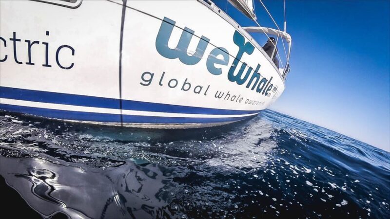 Denia: Whale and Dolphin Watching Morning Experience - FAQs about the Denia Whale and Dolphin Watching Tour