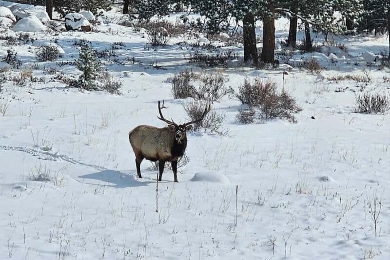 Denver/Boulder: Rocky Mountain National Park Tour - Final Thoughts