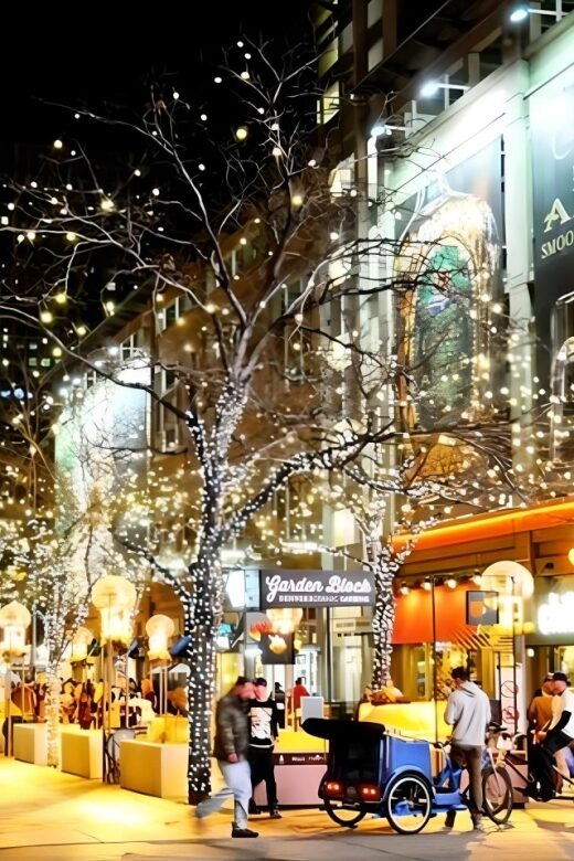 Denver: Holiday Lights & Sights Bus Tour - What Makes This Tour Stand Out
