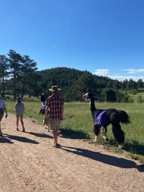 Denver: Llama Hike in the Rocky Mountains - Frequently Asked Questions