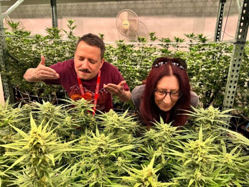 Denver: Private Luxury Cannabis Tour - Value for Money