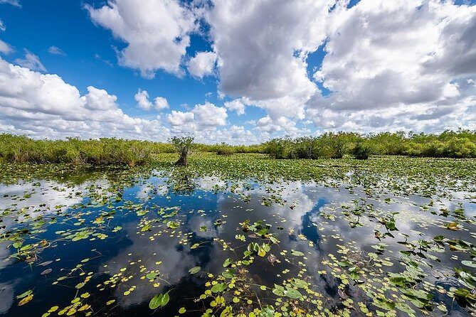 Depart from Miami to discover the Everglades with Airboat tour included! - Who Is This Tour Best For?
