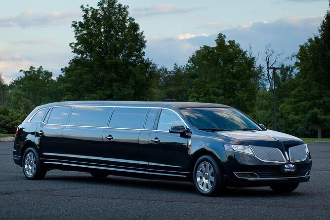 Departure by Private Bus or Limo from Orlando to Port Canaveral - A Detailed Look at the Private Transfer Experience