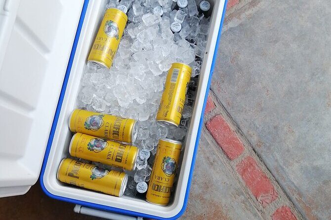 Departure shuttle to Cabo Airport - Why It Works Well for Certain Travelers