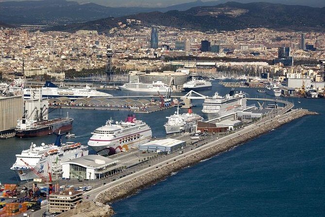 Departure Transfer: Barcelona to Cruise Port by Business Car - Who Should Book This?