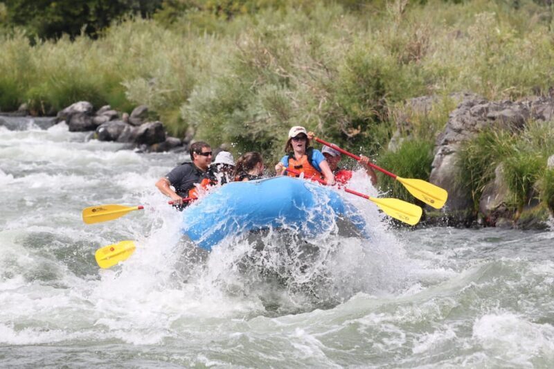 Deschutes River Half Day trips - What to Expect from Your Deschutes River Half Day Trip