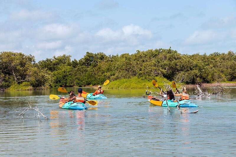 Desde Holbox: SunSea- SUNSET Kayak - Who is This Tour Perfect For?