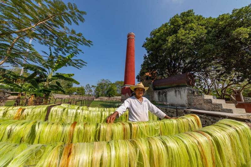 Desde Mérida: Haciendas de Yucatán - FAQ
