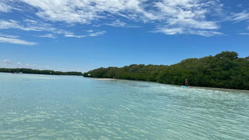 Desde Merida: Isla columpios - Analyzing the Cost & Value