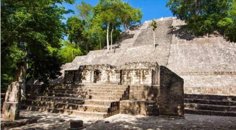 Desde Palenque: Zona Arqueológica Calakmul - The Natural Wealth and Wildlife Spotting