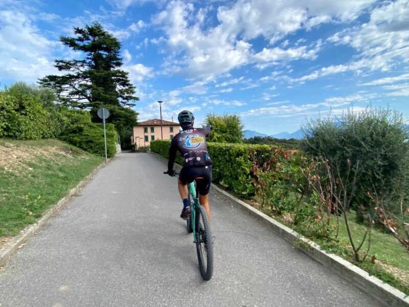 Desenzano: e-Bike Tour with Wine Tasting - What to Expect from the E-Bike Tour