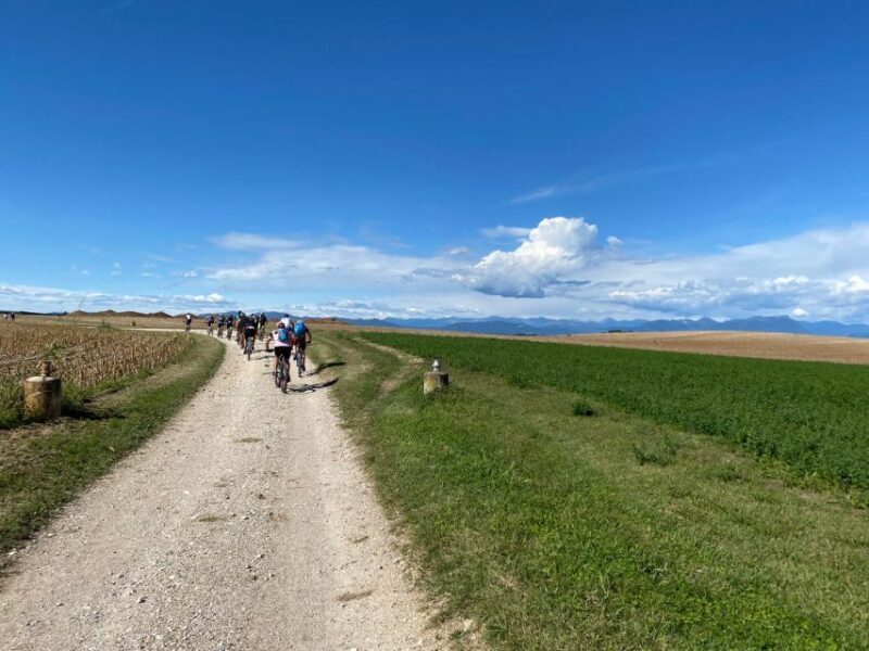 Desenzano: e-Bike Tour with Wine Tasting - What Are the Downsides?