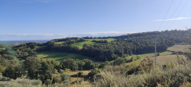 Desenzano: e-Bike Tour with Wine Tasting - The Real Value and Who Should Consider It