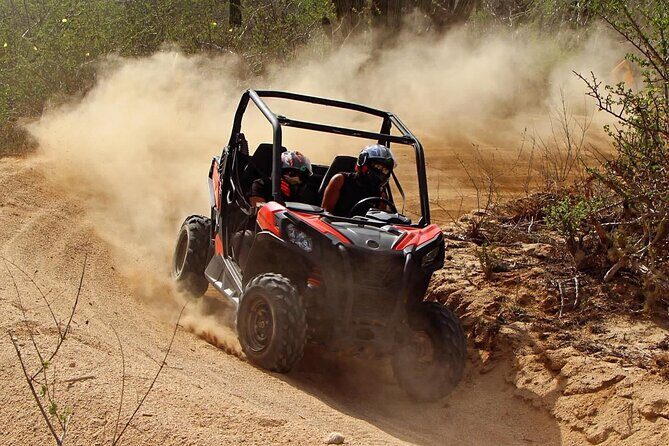 Desert and Beach Buggies Tour - Final Thoughts