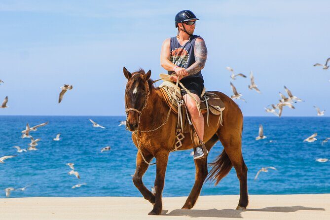 Desert and Beach Horseback Riding Experience in Cabo - The Beach and Desert Ride: What You’ll Experience