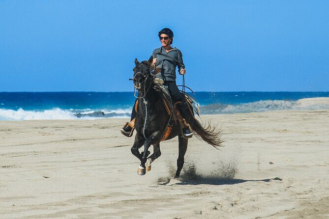 Desert and Beach Horseback Riding Experience in Cabo - What We Loved About This Tour