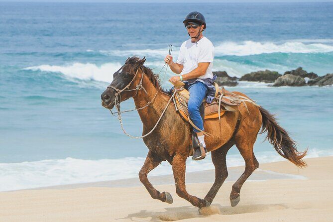 Desert and Beach Horseback Riding Experience in Cabo - Possible Downsides