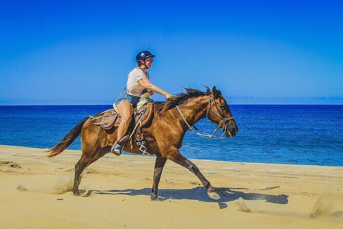 Desert and Beach Horseback Riding Experience in Cabo - Who Will Love This Experience?