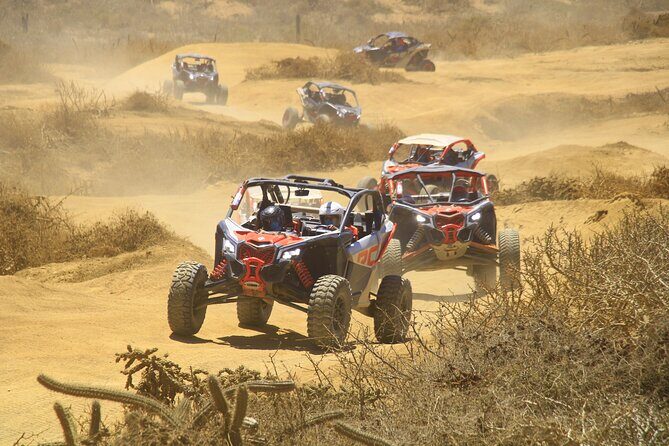 Desert and Beach Off Road Tour in Cabo San Lucas - What to Expect from This Off Road Adventure