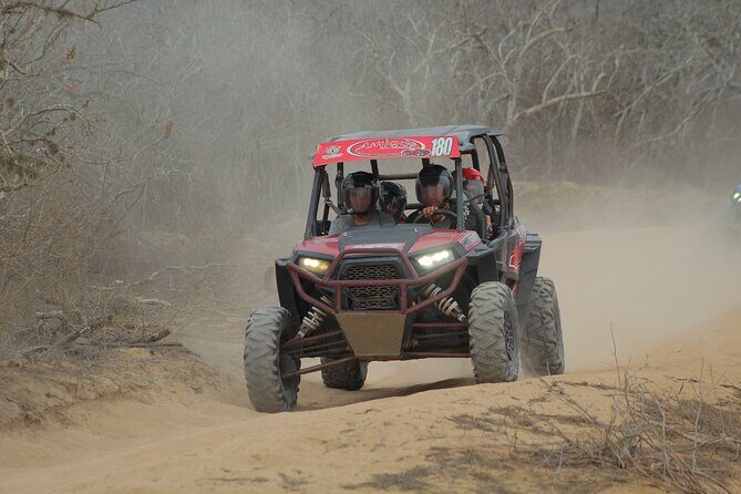 Desert and Beach UTV Adventure with Tequila Tasting - FAQ