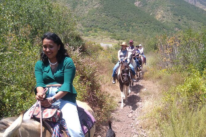 Desert Peaks on Horseback, Exploring Mountain Trails of Ensenada - A Closer Look at the Ensenada Horseback Tour