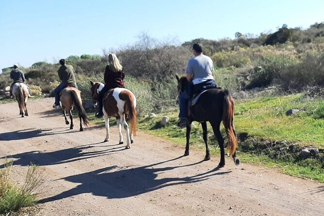 Desert Peaks on Horseback, Exploring Mountain Trails of Ensenada - FAQs