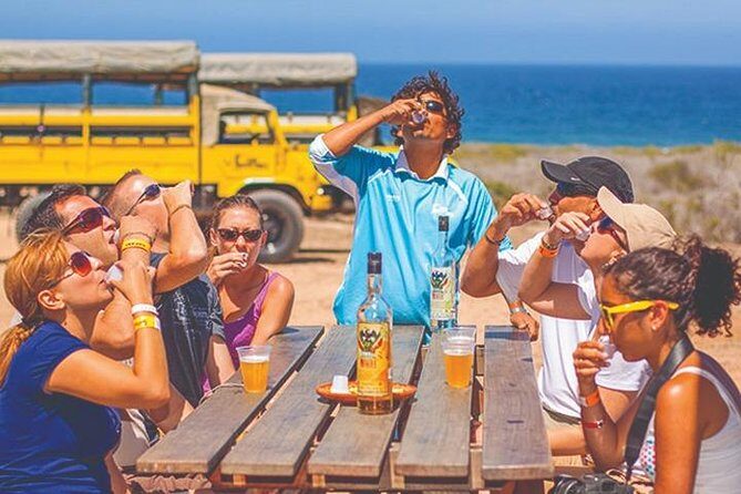 Desert & sea, Camel Safari tour in Los Cabos with lunch - An In-Depth Look at the Camel Safari Experience