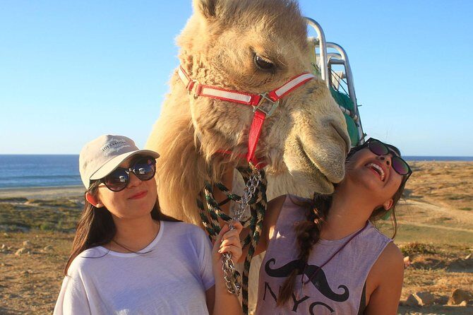 Desert & sea, Camel Safari tour in Los Cabos with lunch - Practical Details: What to Know Before You Go