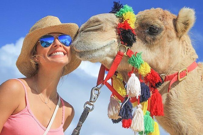 Desert & sea, Camel Safari tour in Los Cabos with lunch - FAQ
