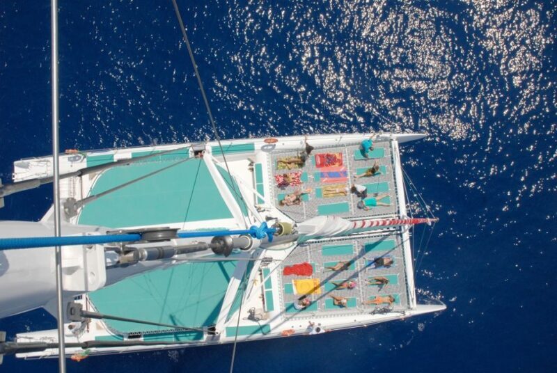 Desertas Islands Full-Day Catamaran Trip from Funchal - The Practical Side: Timing, Group Size, and Cost