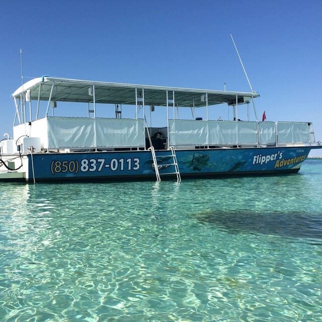 Destin: Crab Island Catamaran Tour with Dolphin Watching - The Value of This Experience