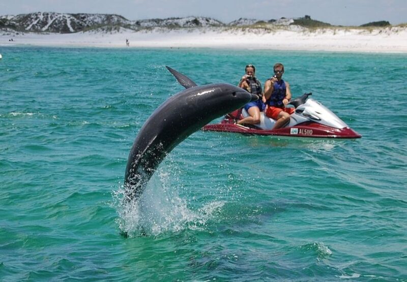 Destin: Crab Island Dolphin Watching Jet Ski Tour - What to Expect from This Jet Ski Tour