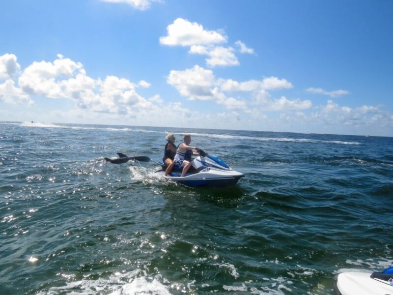 Destin: Crab Island Dolphin Watching Jet Ski Tour - Who Will Love This Tour?