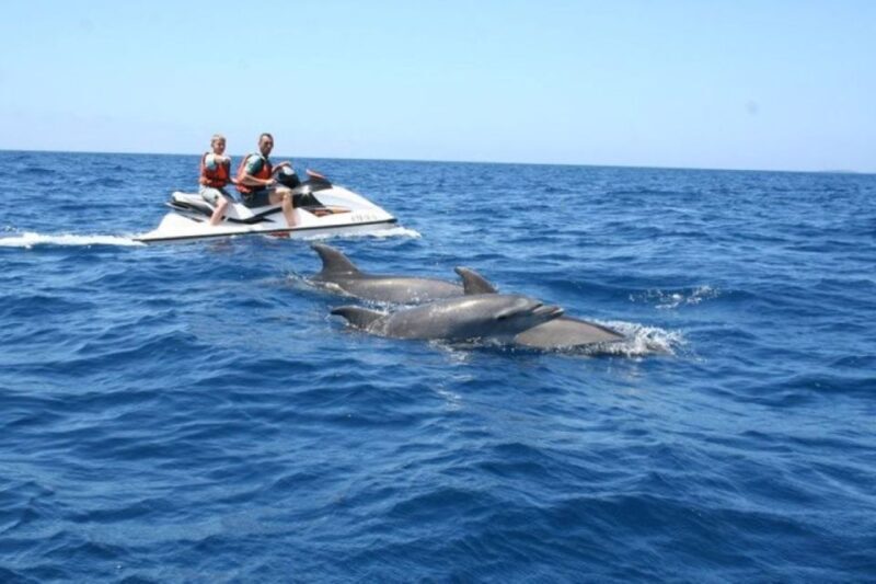 Destin: Crab Island Dolphin Watching Jet Ski Tour - Potential Downsides or Considerations